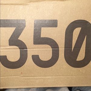 Yeezy 350